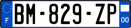 BM-829-ZP