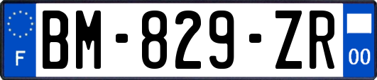 BM-829-ZR