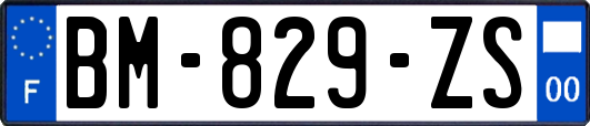 BM-829-ZS