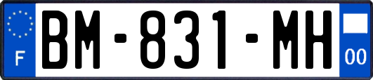 BM-831-MH