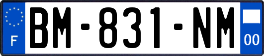 BM-831-NM