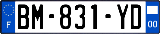 BM-831-YD