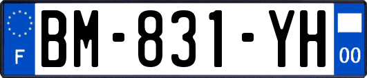 BM-831-YH