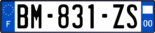 BM-831-ZS