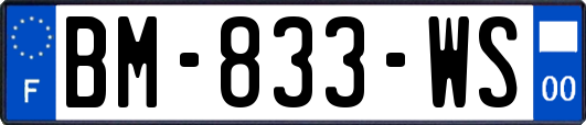 BM-833-WS