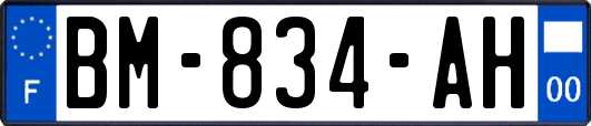 BM-834-AH