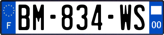 BM-834-WS