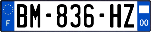 BM-836-HZ