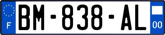 BM-838-AL