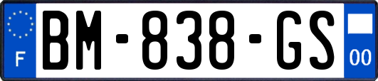 BM-838-GS