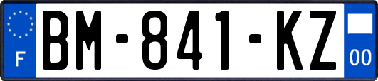 BM-841-KZ