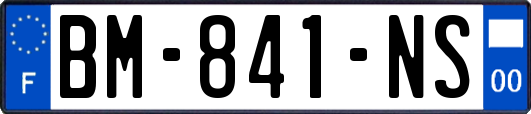 BM-841-NS