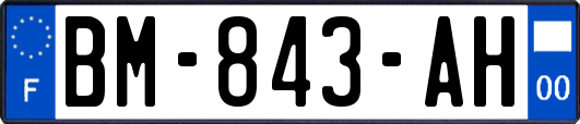BM-843-AH