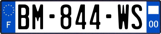 BM-844-WS