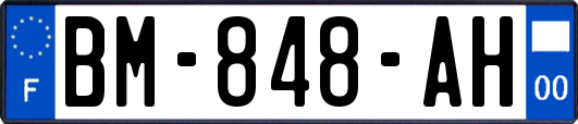 BM-848-AH