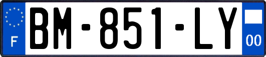 BM-851-LY