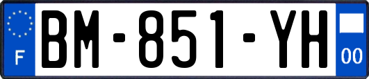 BM-851-YH