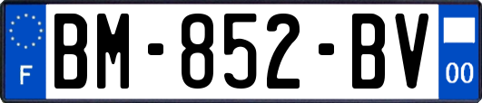 BM-852-BV