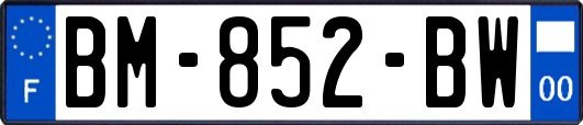 BM-852-BW