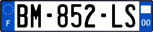 BM-852-LS
