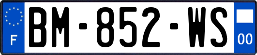 BM-852-WS
