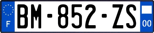 BM-852-ZS