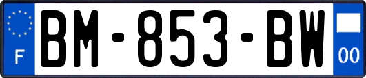 BM-853-BW