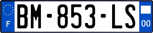 BM-853-LS