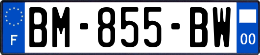 BM-855-BW