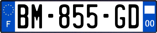 BM-855-GD