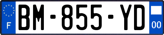 BM-855-YD