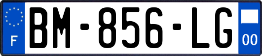 BM-856-LG