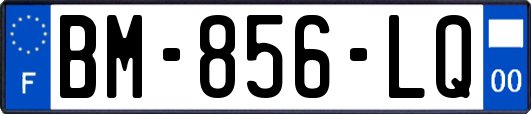 BM-856-LQ