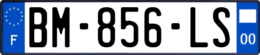 BM-856-LS