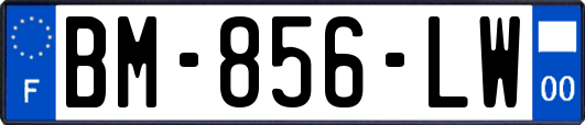 BM-856-LW