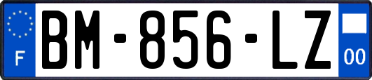 BM-856-LZ