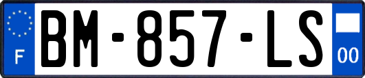 BM-857-LS