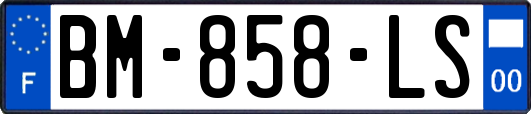 BM-858-LS