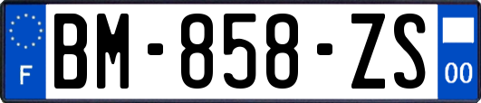 BM-858-ZS