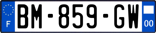 BM-859-GW