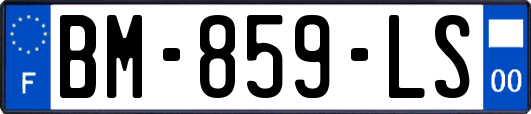 BM-859-LS