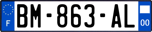 BM-863-AL