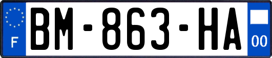 BM-863-HA