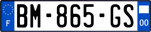 BM-865-GS