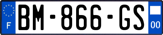 BM-866-GS