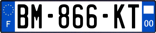 BM-866-KT
