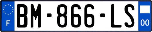 BM-866-LS
