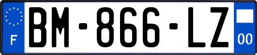 BM-866-LZ