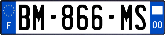 BM-866-MS