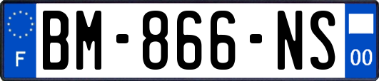 BM-866-NS